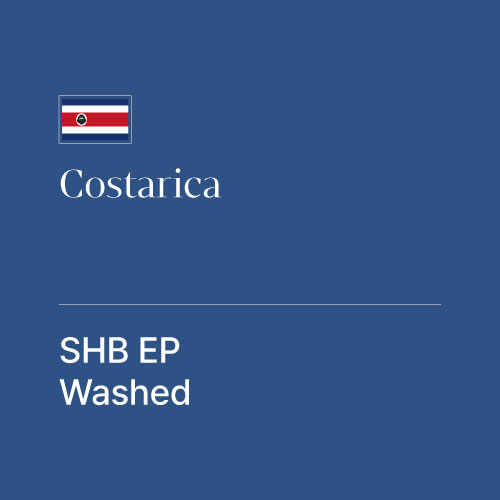 코스타리카 SHB EP 워시드