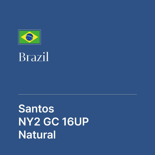 브라질 산토스 굿컵 NY2 16UP 내추럴
