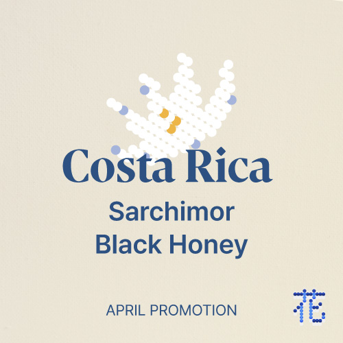 [프로모션] 코스타리카 사치모르 블랙 허니