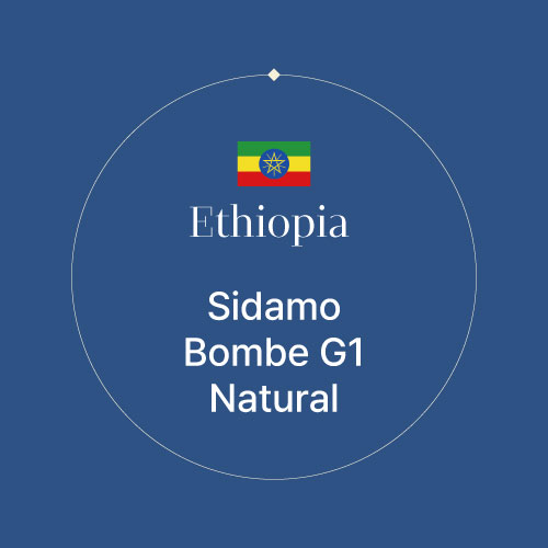 에티오피아 시다모 봄베 G1 내추럴