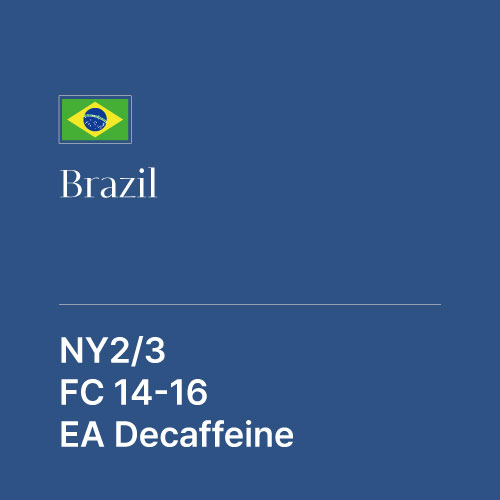 브라질 NY2/3 FC 14-16 EA 디카페인