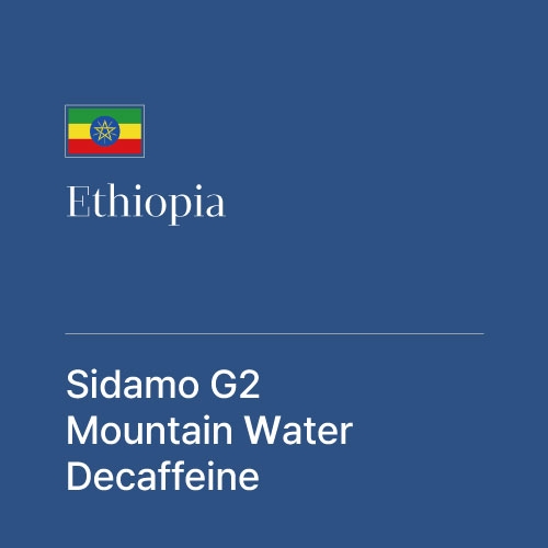 에티오피아 시다모 G2 마운틴워터 디카페인