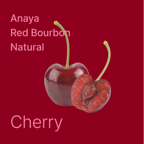 히든셀렉션 콜롬비아 아나야 레드 버번 내추럴