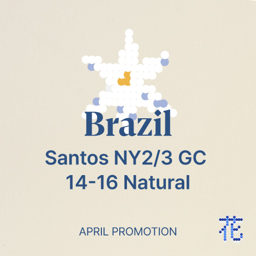 [프로모션] 브라질 산토스 굿컵 NY2/3 14-16 내추럴