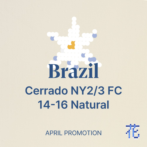 [프로모션] 브라질 세하도 파인컵 NY2/3 14-16 내추럴