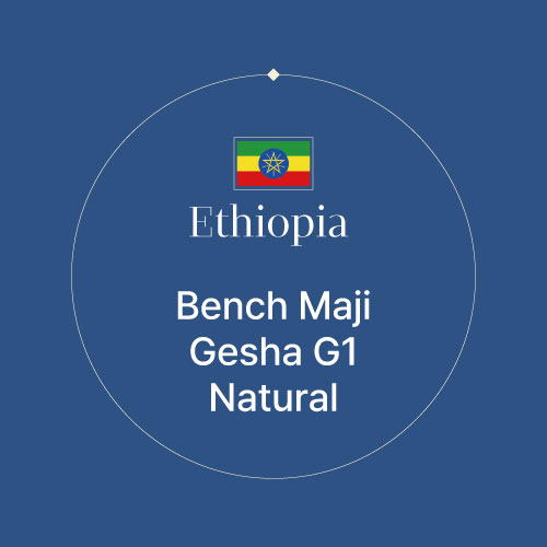 에티오피아 벤치 마지 게샤 G1 내추럴