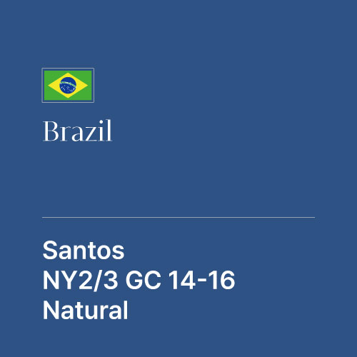 브라질 산토스 굿컵 NY2/3 14-16 내추럴