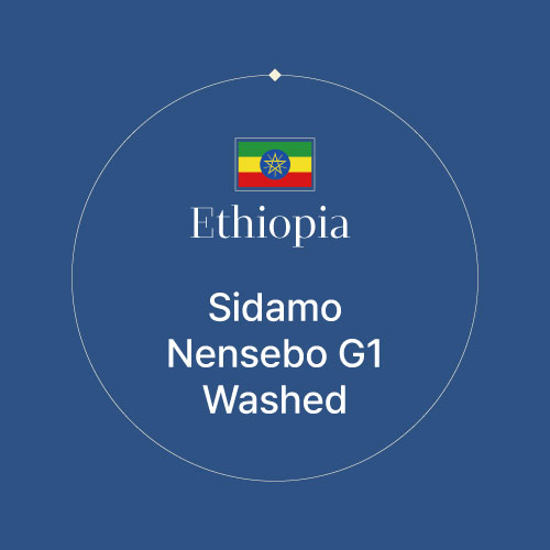 에티오피아 시다모 넨세보 G1 워시드