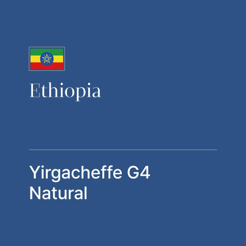 에티오피아 예가체프 G4 내추럴