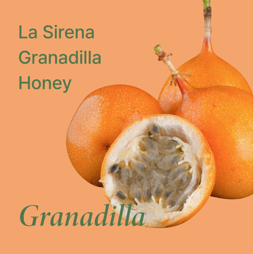 히든셀렉션 핀카 라 시레나 그라나디야 허니