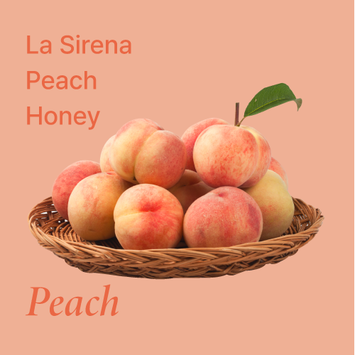 히든셀렉션 핀카 라 시레나 피치 허니