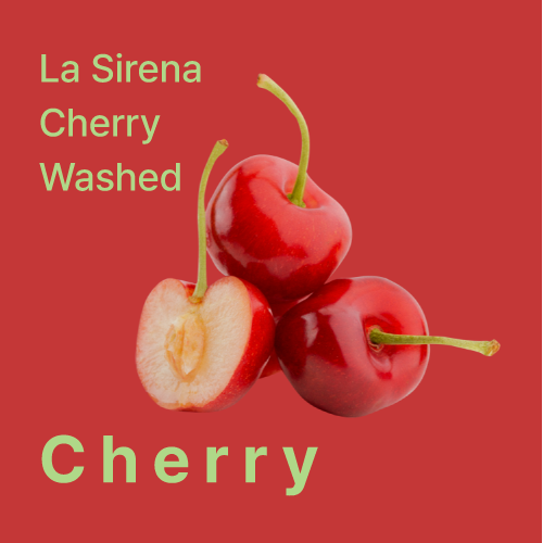 히든셀렉션 핀카 라 시레나 체리 워시드