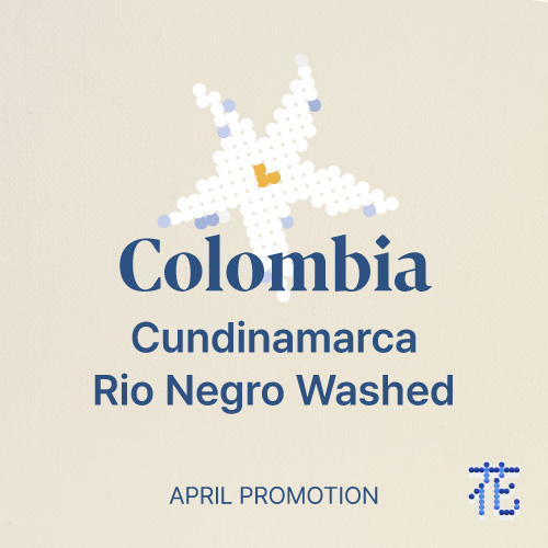 [프로모션] 콜롬비아 쿤디나마르카 리오네그로 워시드