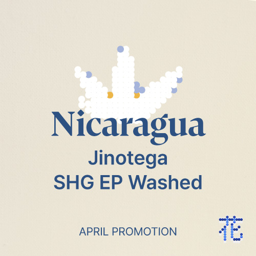 [프로모션] 니카라과 히노테가 SHG EP 워시드