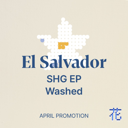 [프로모션] 엘살바도르 SHG EP 워시드
