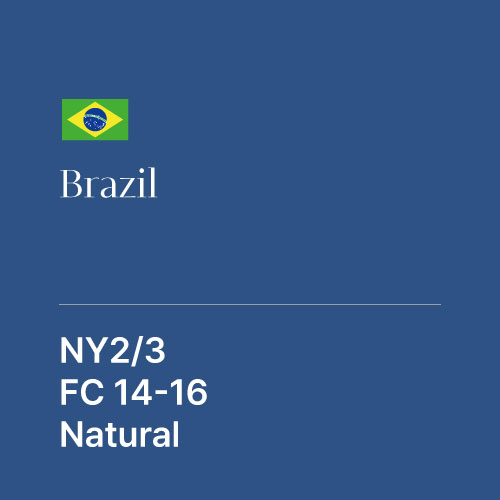 브라질 NY2/3 파인컵 14-16 내추럴