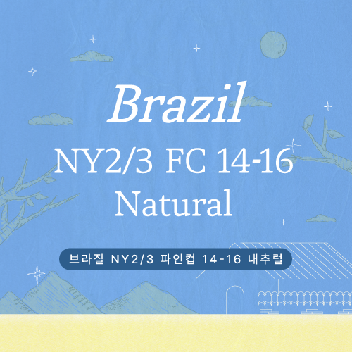 [프로모션] 브라질 NY2/3 파인컵 14-16 내추럴
