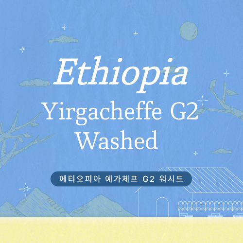 [프로모션] 에티오피아 예가체프 G2 워시드