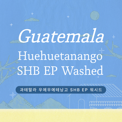 [프로모션] 과테말라 우에우에테낭고 SHB EP 워시드