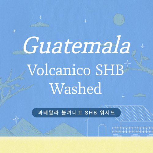 [프로모션] 과테말라 볼까니꼬 SHB 워시드