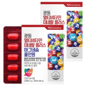 광동 멀티비타민미네랄 플러스 마그네슘 올인원 90정 2박스