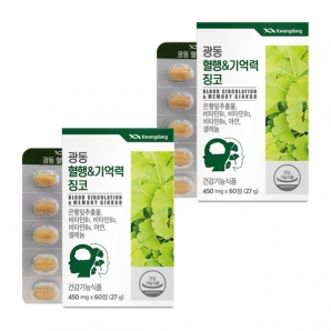 광동 혈행&기억력 징코 60정 2박스