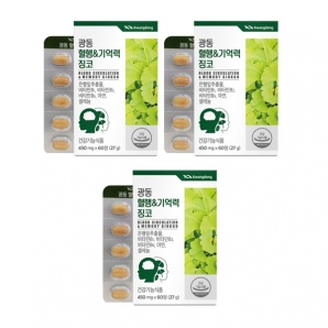 광동 혈행&기억력 징코 60정 3박스