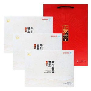 동진제약 발효뿌리홍삼 230g 3박스