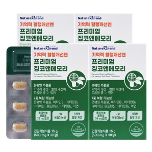 네이처그랜드 프리미엄 징코앤메모리 30정 4박스