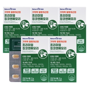 네이처그랜드 프리미엄 징코앤메모리 30정 5박스