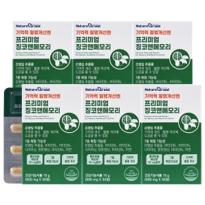 네이처그랜드 프리미엄 징코앤메모리 30정 6박스