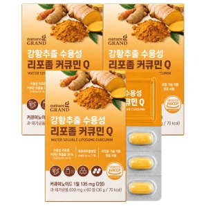 네이처그랜드 강황추출 수용성 리포좀 커큐민Q 60정 3박스