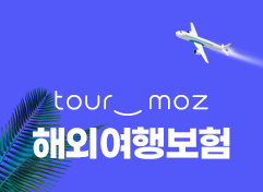 여행자보험비교/가입 tourmoz