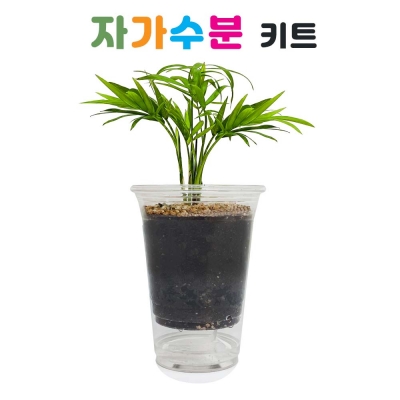 식물 자가수분 키트