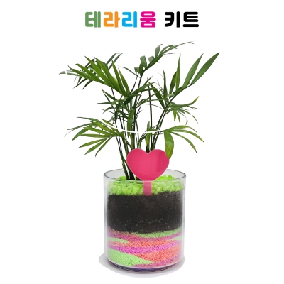 알록달록 테라리움 키트(식물선택 가능)