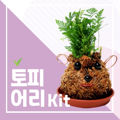 토피어리 키트 (활동지, 동영상 가능)