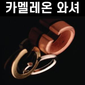 [자자손손] 와셔 / 0.025g 0.05g 0.1g 0.2g / 그린플러스멀티추 / 카멜레온추 / 친환경추 봉돌 유동추
