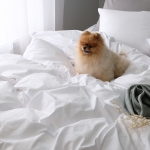 코튼렛 더스트프리 먼지없는 이불커버 베개커버세트 호텔침구