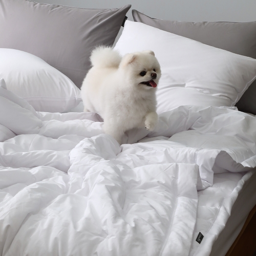 코튼렛 호텔 순면 알러지케어 차렵이불 먼지없는 더스트프리 사계절 침구 SS