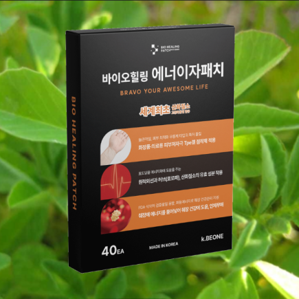 에너이자패치 원적외선+산화질소+호로파 당뇨에 도움 1팩(4x10=40개)