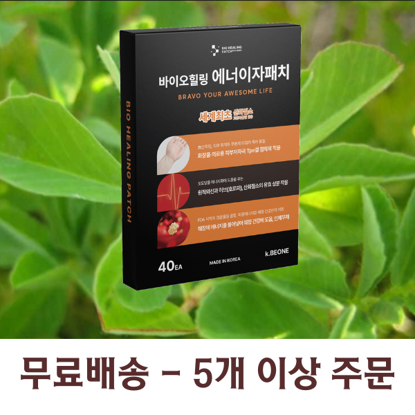 에너이자패치 원적외선+산화질소+호로파 당뇨에 도움 1팩(4x10=40개)