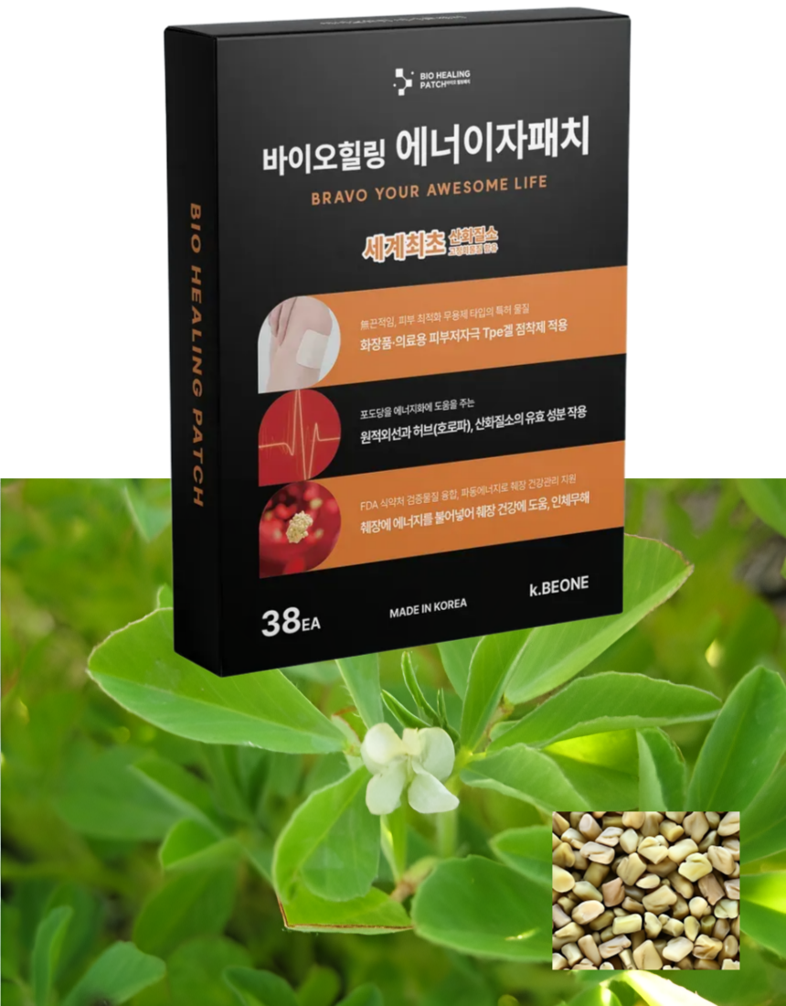 에너이자패치 원적외선+산화질소+호로파 당뇨에 도움 1팩(4x10=40개) 에너이자패치 원적외선+산화질소+호로파 당뇨에 도움 1팩(4x10=40개)