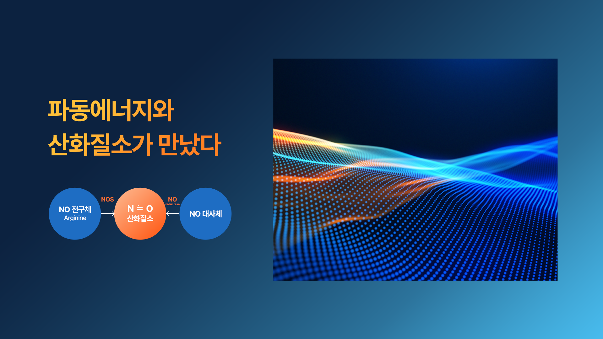 K-패치 러브 코이노니아-원적외선 허브 토탈 바디패치 선물용 38매