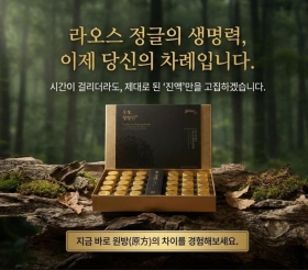 침향단