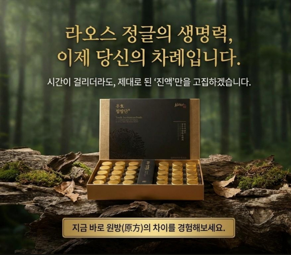 침향단 침향단