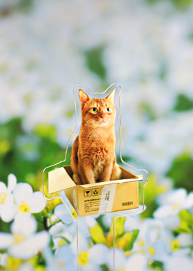 [일반형아크릴포토프롭] 3t_투명