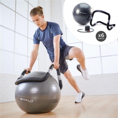 Halo® Trainer Plus 6-Pack*