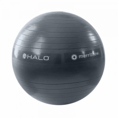 Stability Ball 55cm, Halo® (Gray)