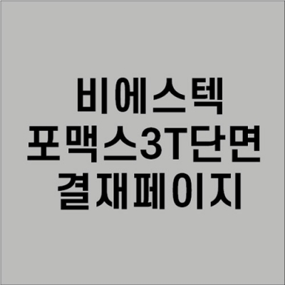 비에스텍 포맥스3T 표찰 결재페이지입니다.