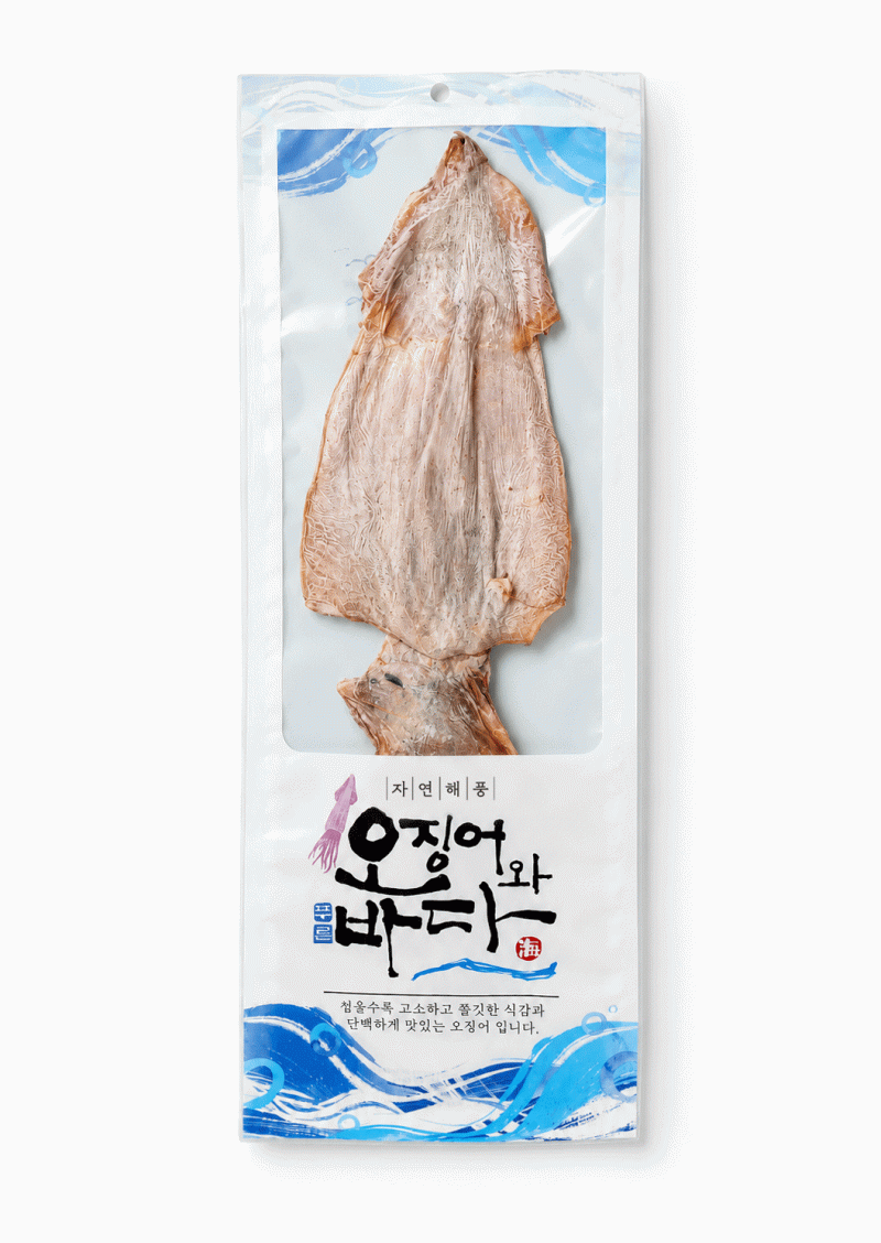 오징어와바다